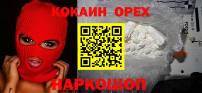 сатива Новозыбков