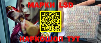 сатива Новозыбков