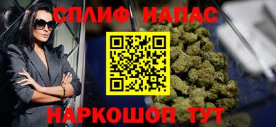 сатива Новозыбков