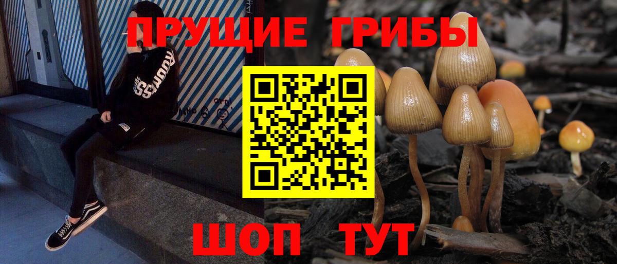 Галлюциногенные грибы MAGIC MUSHROOMS  Вход с VPN  Реутов 