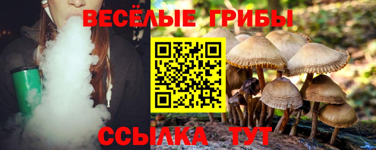 Галлюциногенные грибы Psilocybine cubensis Реутов